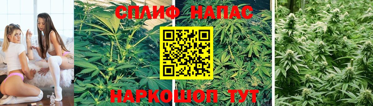 Дубна  Конопля план  Вход с VPN  Бошки марихуана ГИДРОПОН  Каннабис LSD WEED 